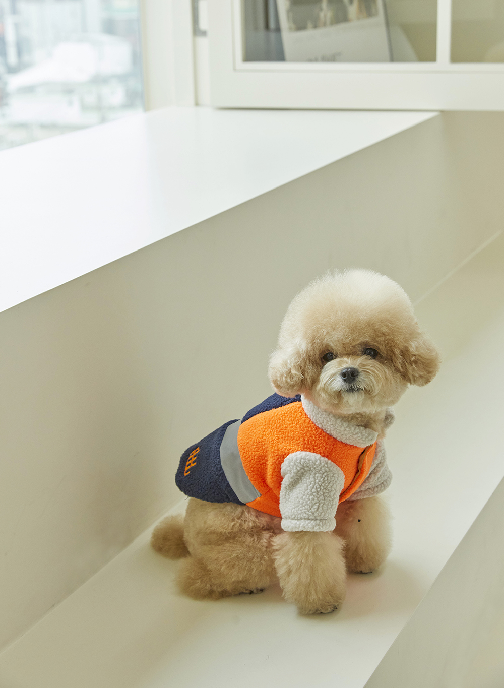 디어우 강아지 후리스 덤블 조끼 양면 패딩 입히기 편한 애견 겨울 옷