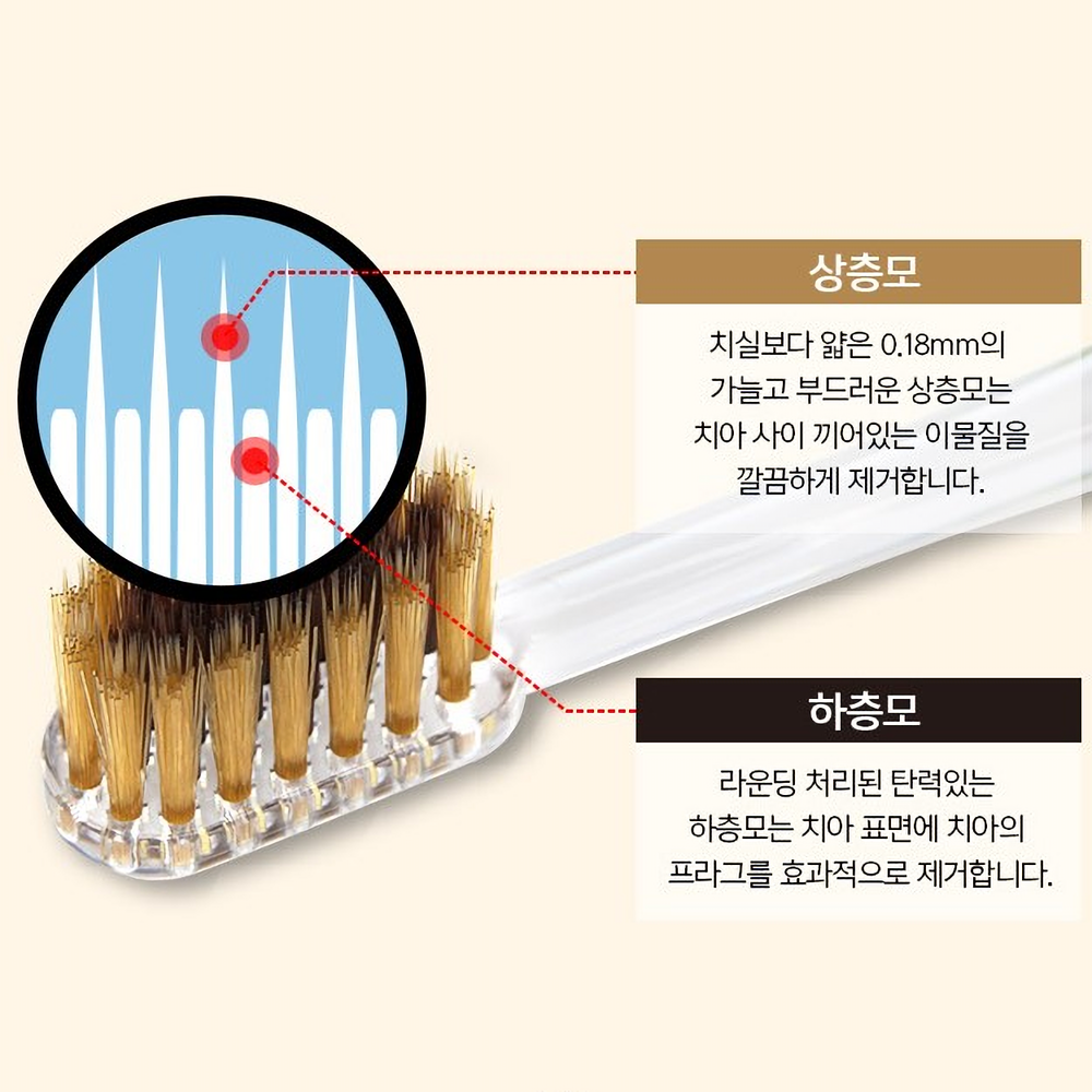 침향 골드 이중미세모 칫솔 (8개입) 항균칫솔모 - 상세 이미지 4