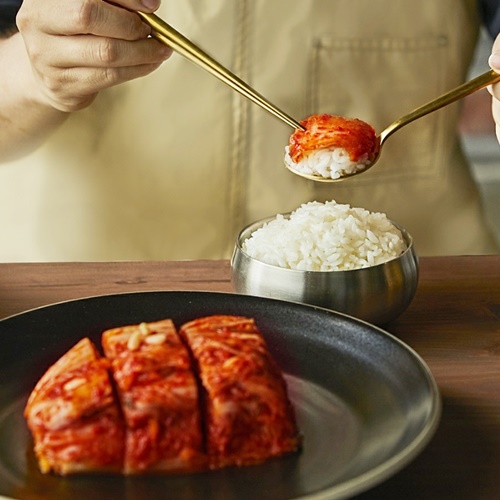 제주 한백김치 맛있게 매운 신나는김치 실비김치 불 1kg 외 3종