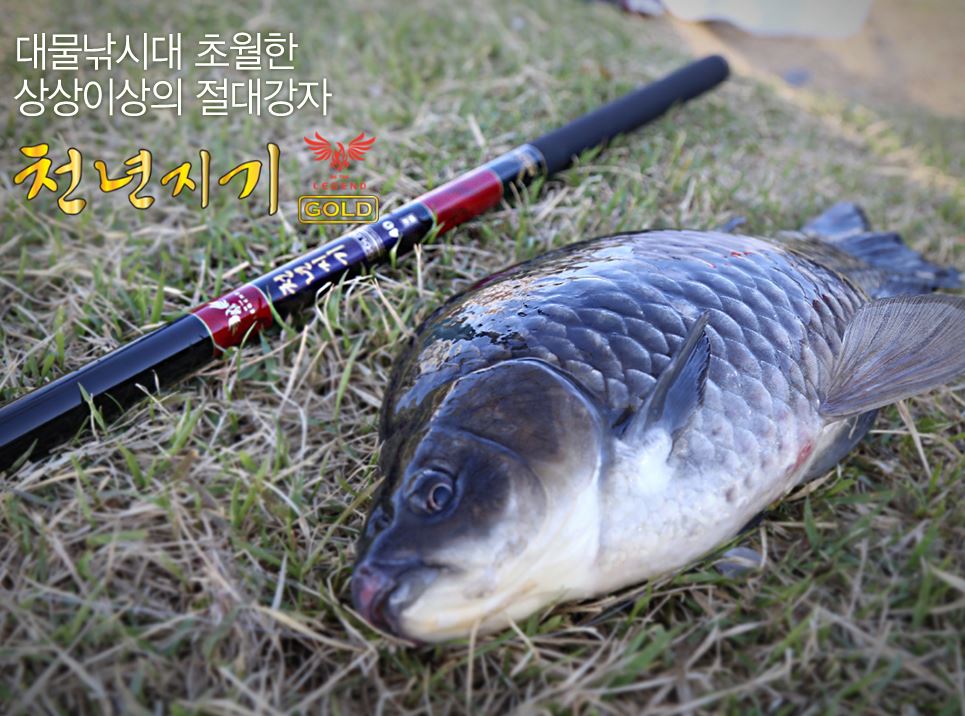 아피스 천년지기 골드 32칸 민물 붕어 향어 잉어 낚시대 민물대 민장대 - 상세 이미지 4