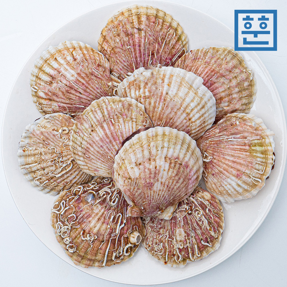 훈훈수산 참 가리비 특대 1kg - 상세 이미지 5