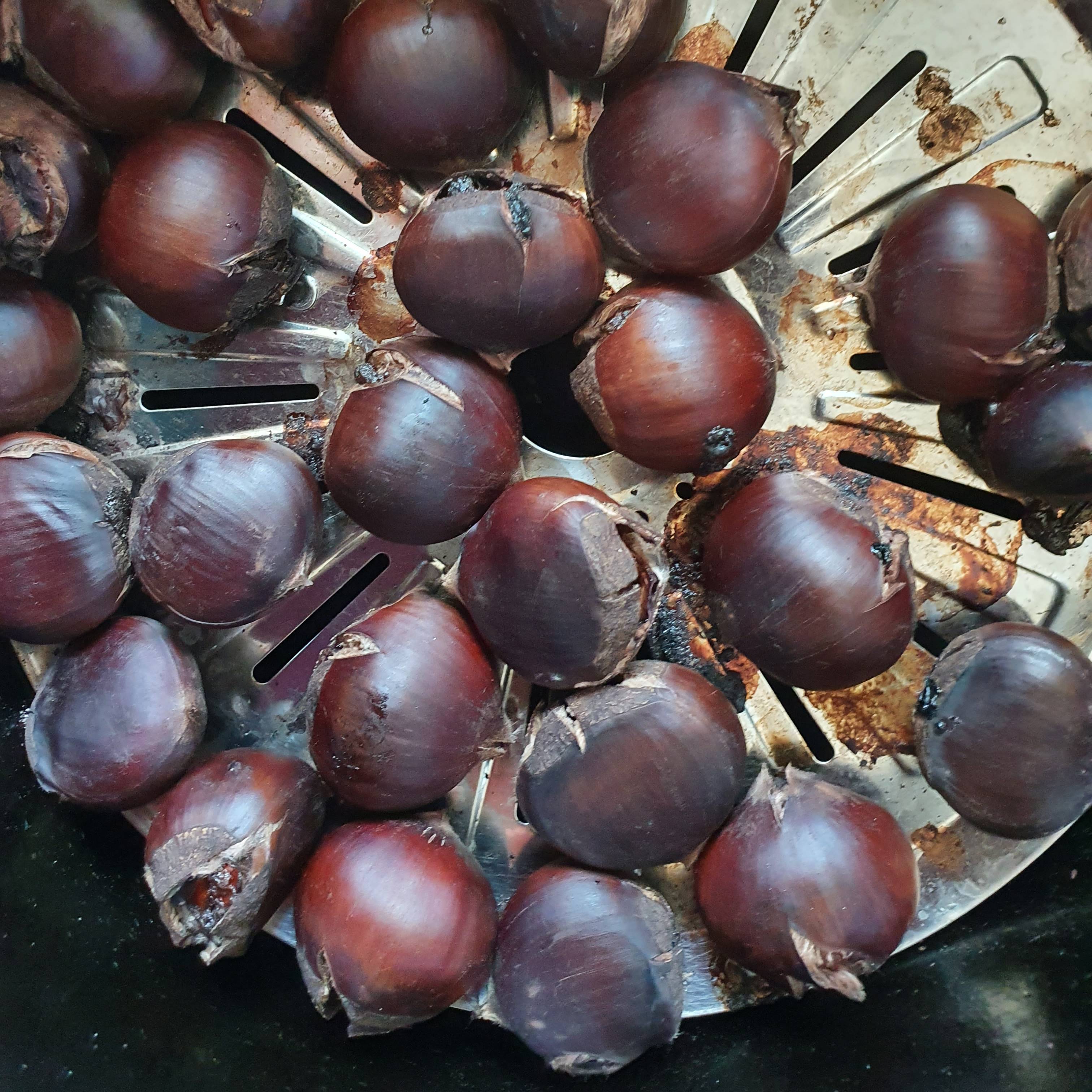 노루골농원 유기농 옥광밤 대 중 3kg - 상세 이미지 3