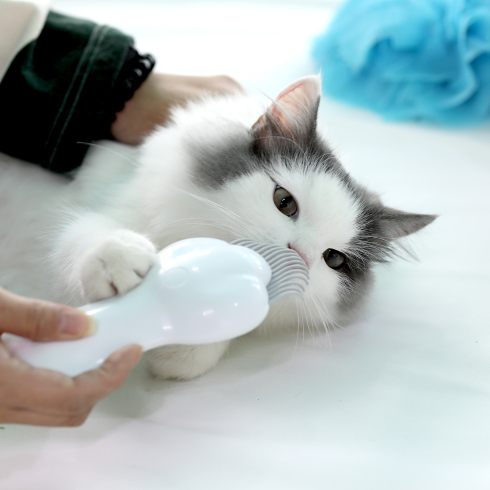 펫케어 고양이 레이저 포인터 장난감 레이저빗 이미지 8