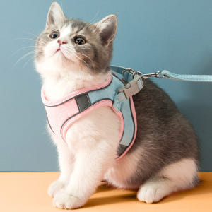 퍼플펫 고양이 하네스 가슴줄 목줄 고양이전용 산책줄 S 솔직 후기 | 실제 사용자 리뷰 총정리 - 상품 이미지 1