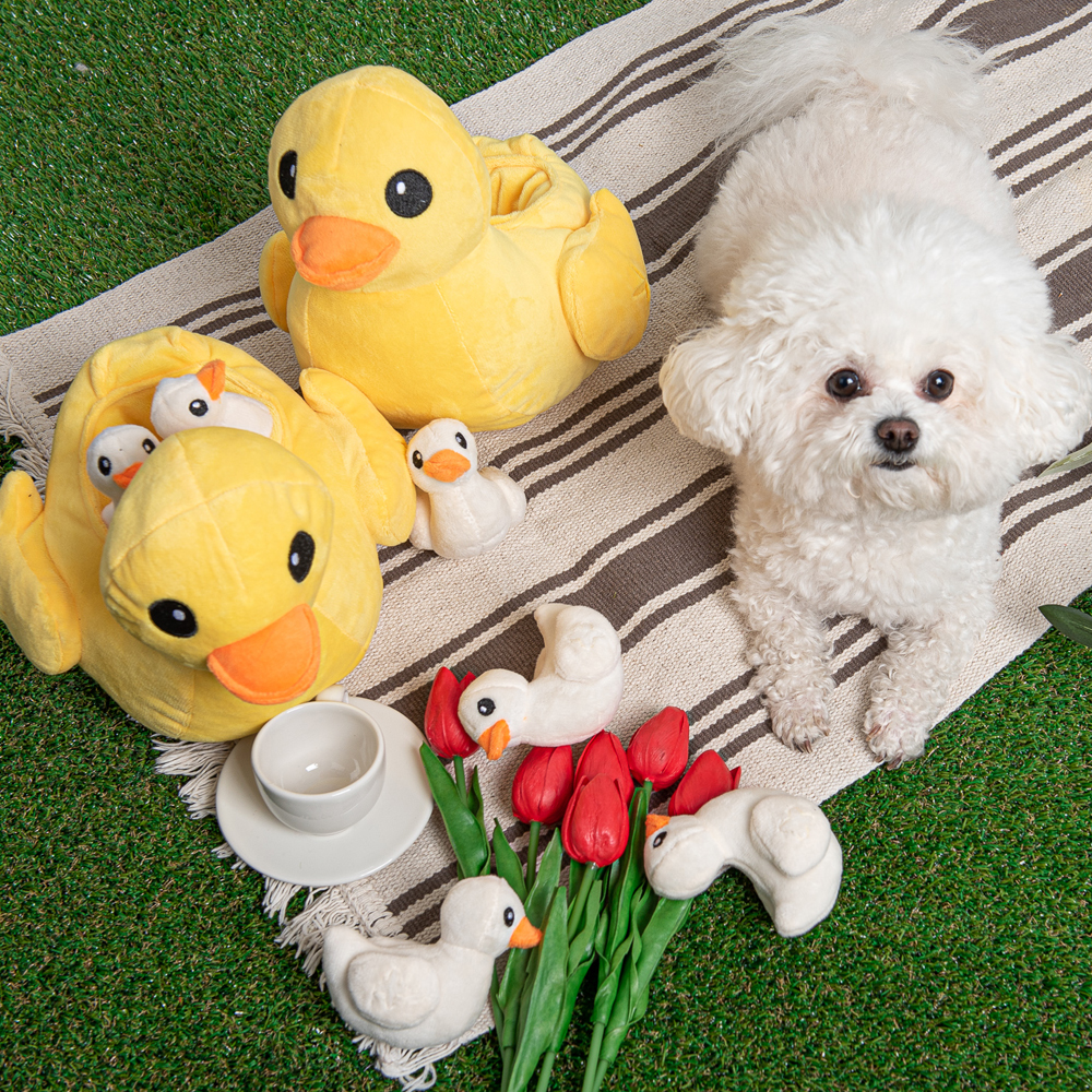 펫트너스 동물농장 강아지 노즈워크 장난감 분리불안 훈련