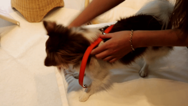 KakaoTalk_20220307_215546405.gif