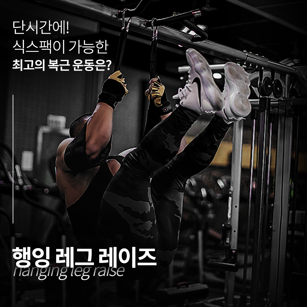 HNF 행잉레그레이즈 AB 스트랩 코어 슬링 복근운동기구 - 상세 이미지 4