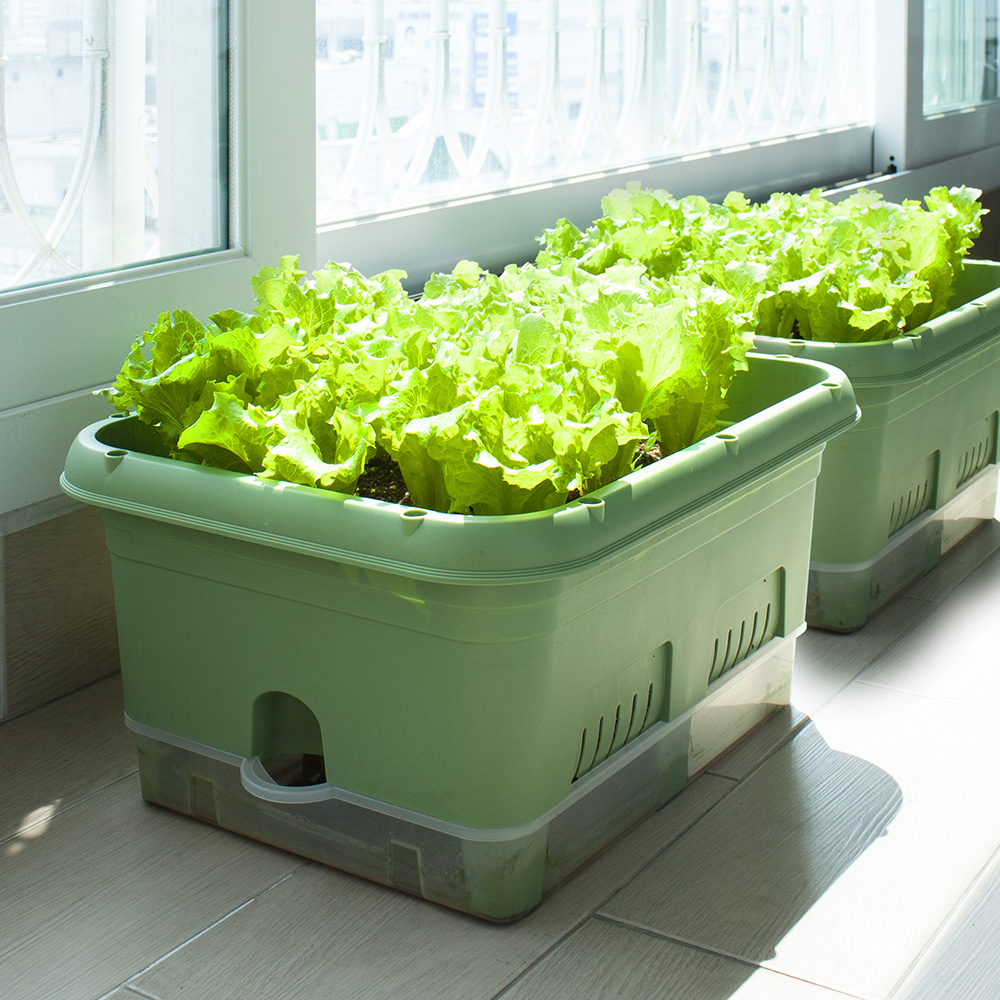 30L대형 텃밭화분 상추키우기 대파키우기 플라스틱 저면관수 베란다텃밭 홈가드닝 플랜트박스