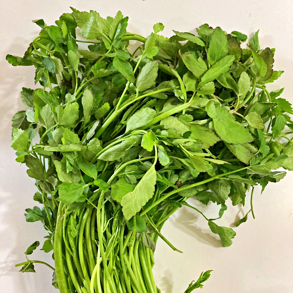 미나리 500g 1kg 국내산 - 상세 이미지 2