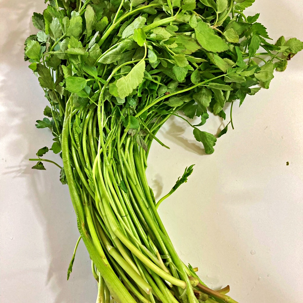 미나리 500g 1kg 국내산 - 상세 이미지 4