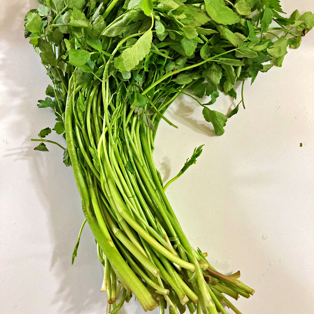 미나리 500g 1kg 국내산 - 상세 이미지 5