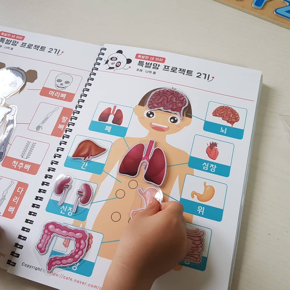 창의력발달 유아창의융합 프린트학습지 PDF 파일 가격 추이 특별한 내 아이 창의력발달 유아창의융합 프린트학습지 PDF 파일 - 최저가 8,000원