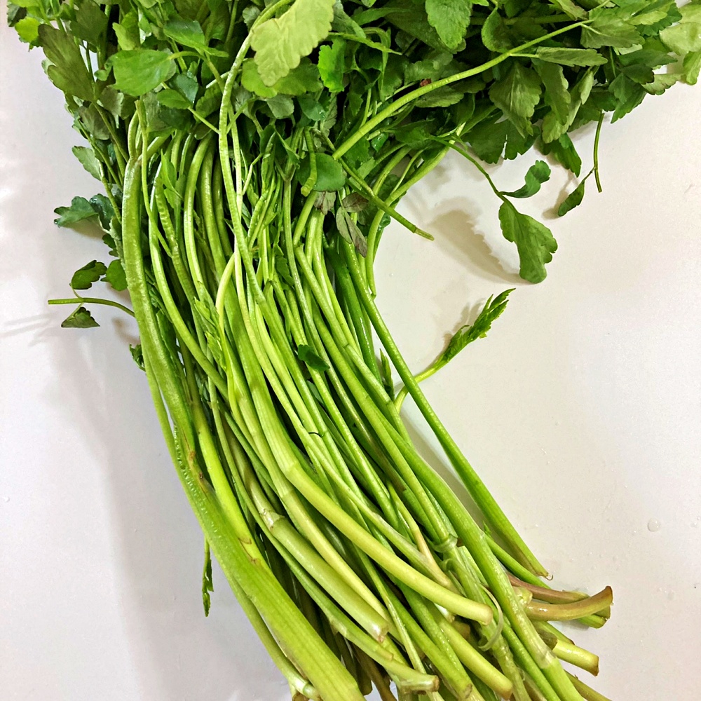 미나리 500g 1kg 4kg 이미지 6