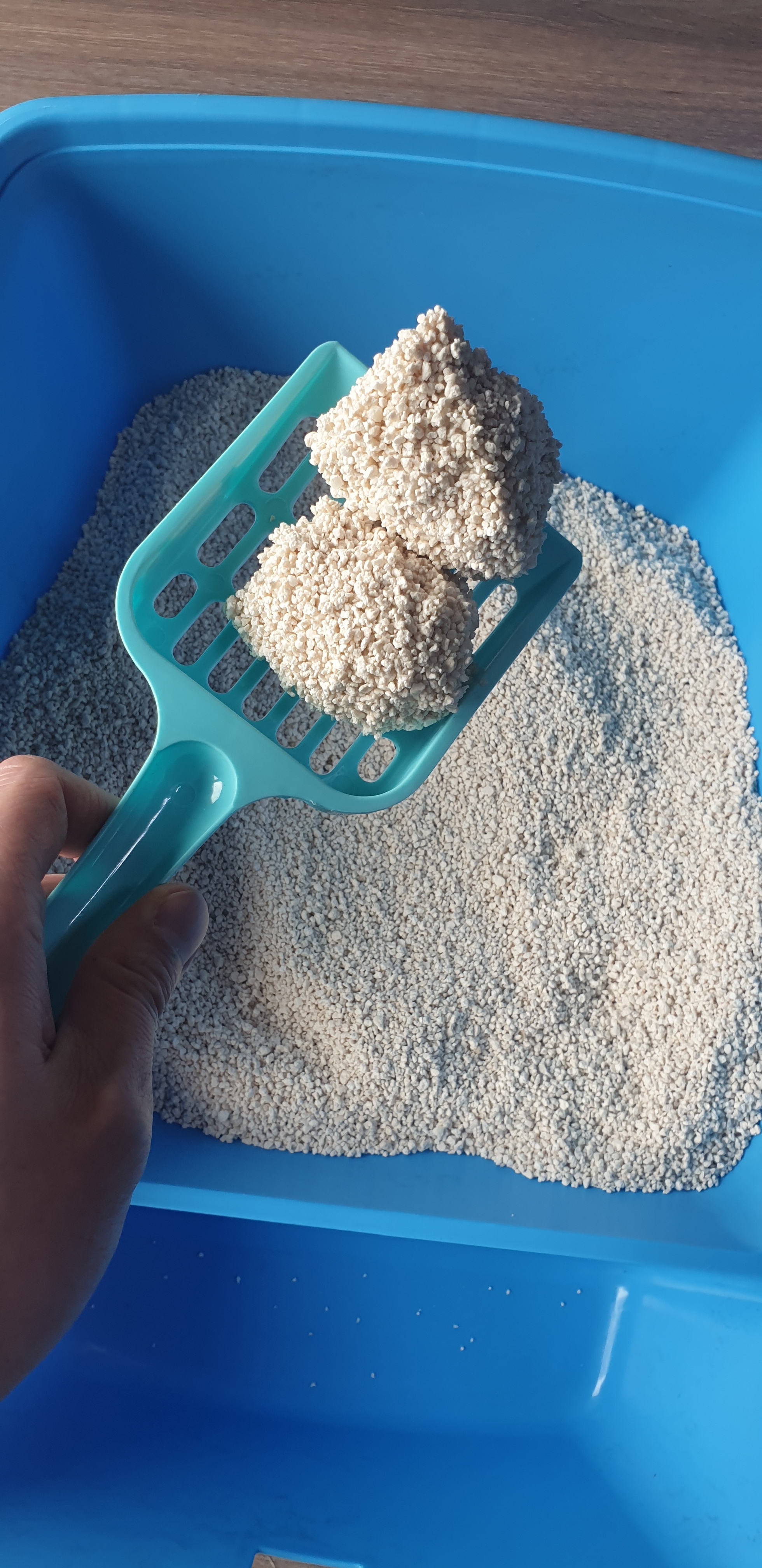 먼지없는 고양이모래 모찌네모래 카사바 그린 일반입자 8.4kg