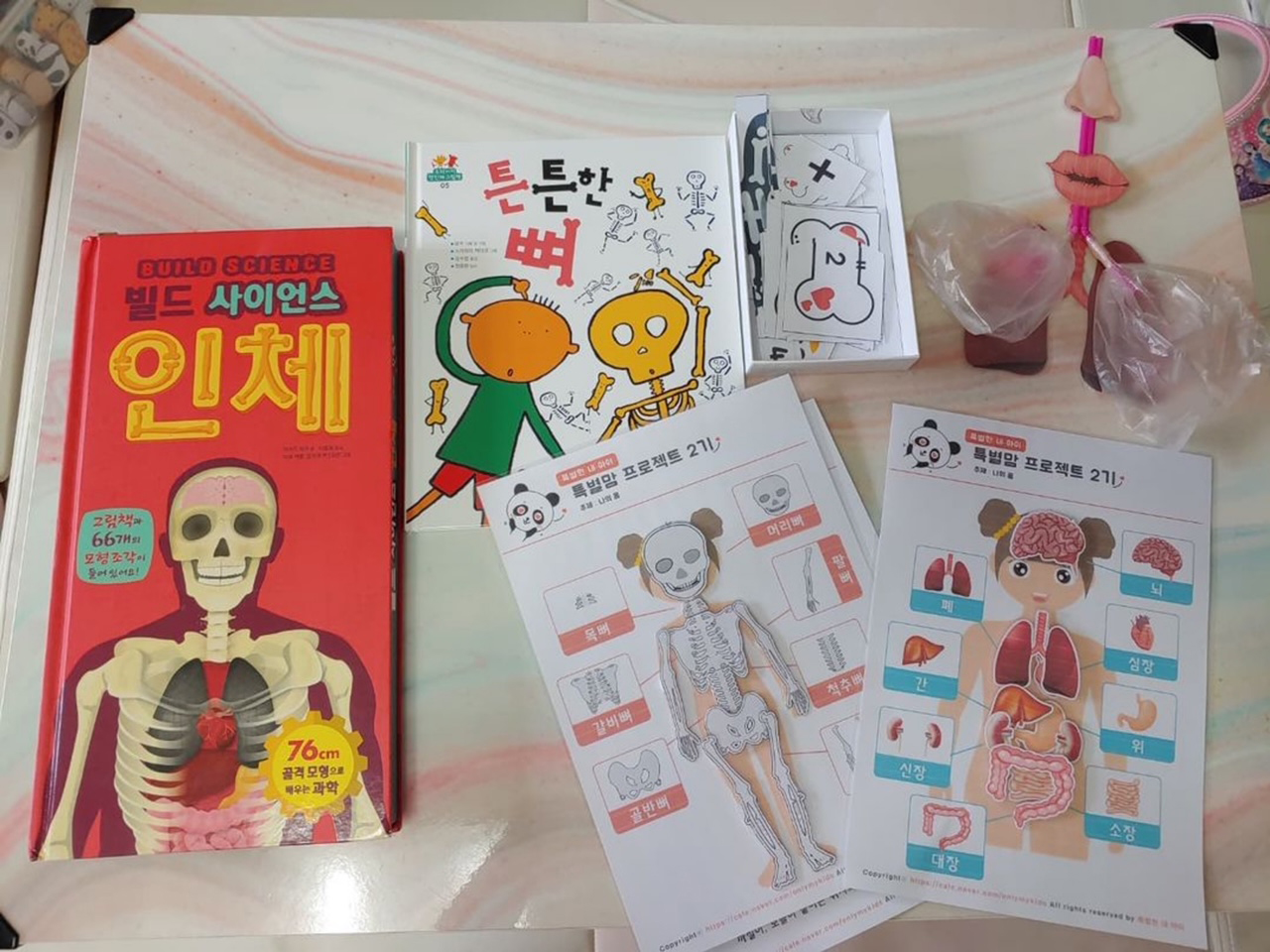 창의력발달 유아창의융합 프린트학습지 PDF 파일 - 이메일 발송 - 상세 이미지 3
