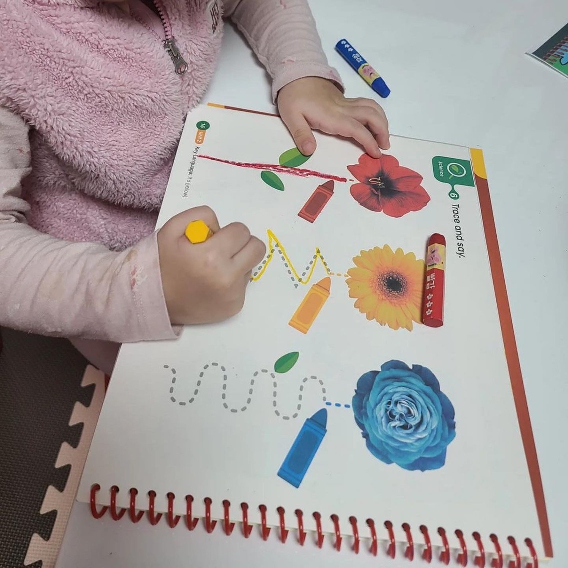 (12회 수업) little hands 유아화상영어 원어민 일대일 수업, 리틀핸즈 코스북 과정 + 렛미톡 제휴 상품 이미지