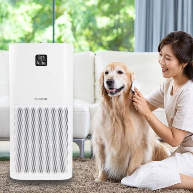 초대형 대형 업소용 공업용 산업용 공장 사무실 강아지 공기청정기 