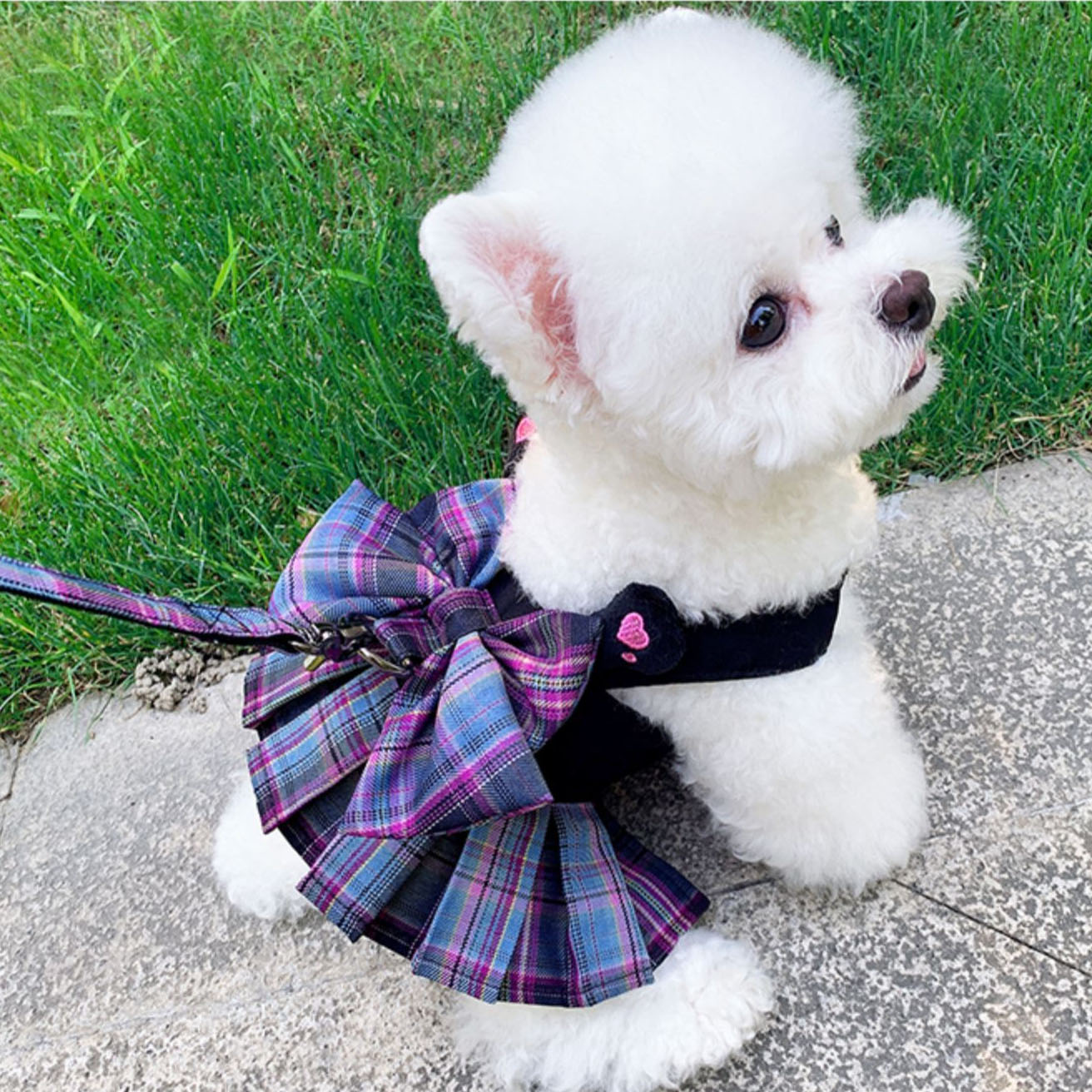 체크 리본 강아지 원피스 하네스 옷 리드줄 포함 애견 나시 드레스 강아지옷 제품 이미지