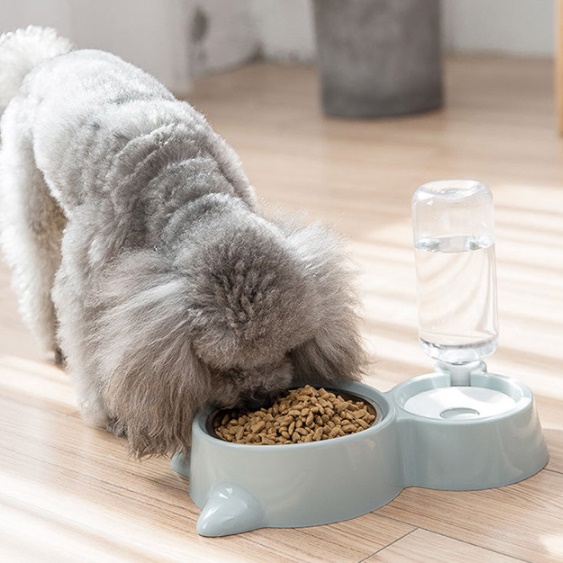 강아지 고양이 자동 급수기 생수통 물병 물통 밥그릇 급식기 - 상세 이미지 3