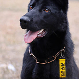 강아지네임택 반려견 대형견인식표 강아지이름표 강아지명찰 블랙 노랑 솔직 후기 | 실제 사용자 리뷰 총정리 - 상품 이미지 3