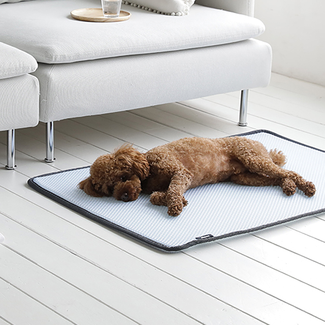 에어텍스 3D 강아지 쿨매트 고양이 애견 매트 여름 쿨방석 SS(26x40) 소형켄넬