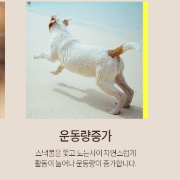 강아지 간식 장난감 푸들 비숑 말티즈 반려견 분리 불안 장난감 - 상세 이미지 5
