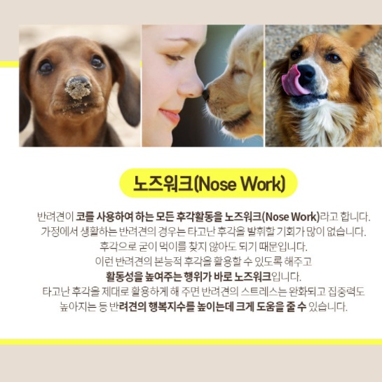 강아지 간식 장난감 푸들 비숑 말티즈 반려견 분리 불안 장난감 - 상세 이미지 4