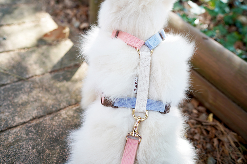 바유 강아지 하네스 H형 가슴줄 순면 라이트버전 XS