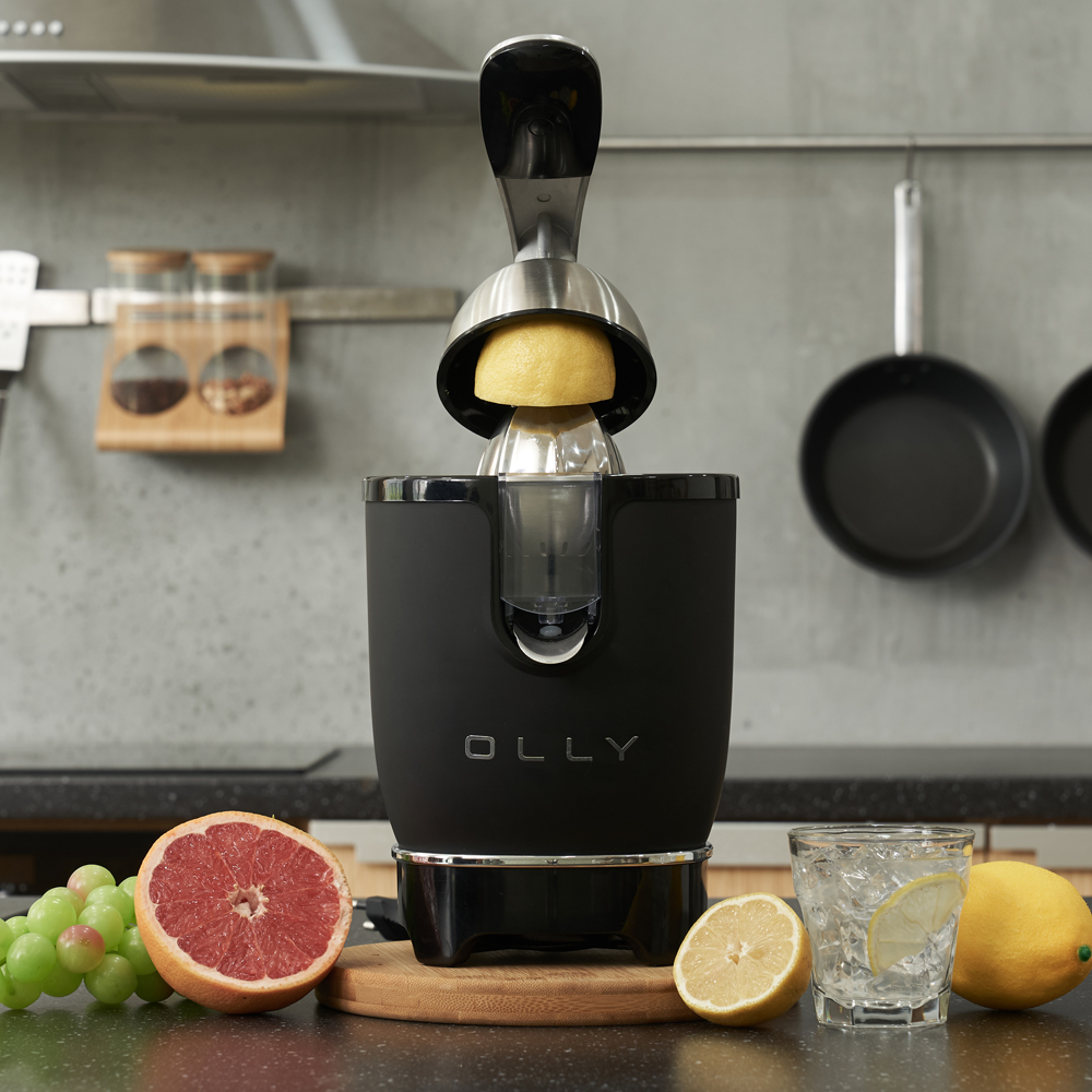 올리 오렌지착즙기 레몬착즙기 과일착즙기 원액기 쥬서기