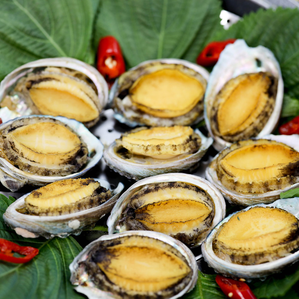 열정농부 전복 산지직송 완도 활전복 1kg 이미지 7