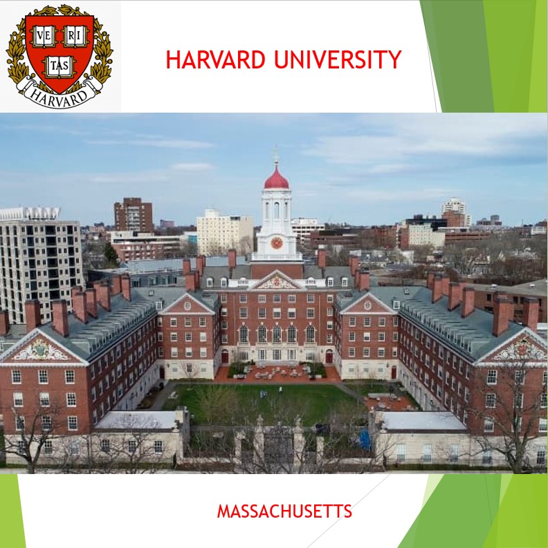 미국 캐나다 북미 원어민 전화영어 화상영어 어린이 초등 성인 파닉스