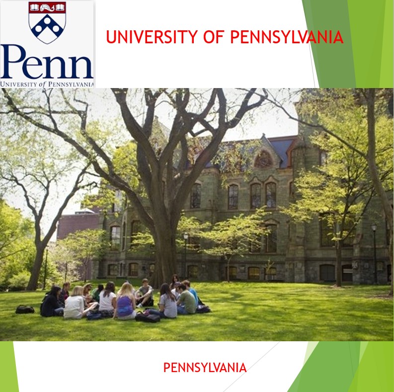 미국 캐나다 북미 원어민 전화영어 화상영어 어린이 초등 성인 파닉스