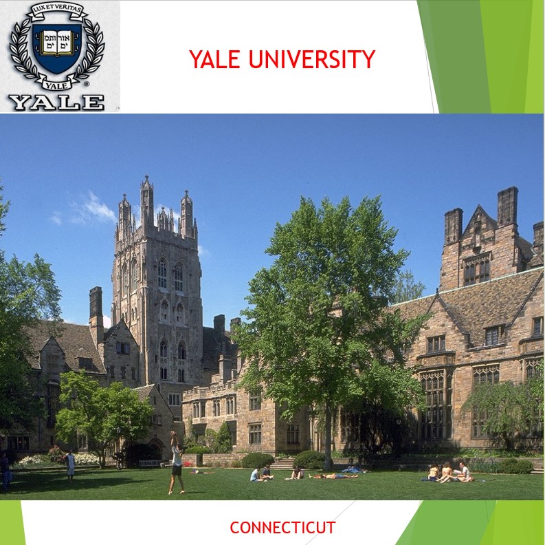 미국 캐나다 북미 원어민 전화영어 화상영어 어린이 초등 성인 파닉스