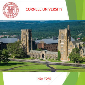 미국 캐나다 북미 원어민 전화영어 화상영어 어린이 초등 성인 파닉스 솔직 후기 | 실사용자 리뷰 분석 - 상품 이미지 2