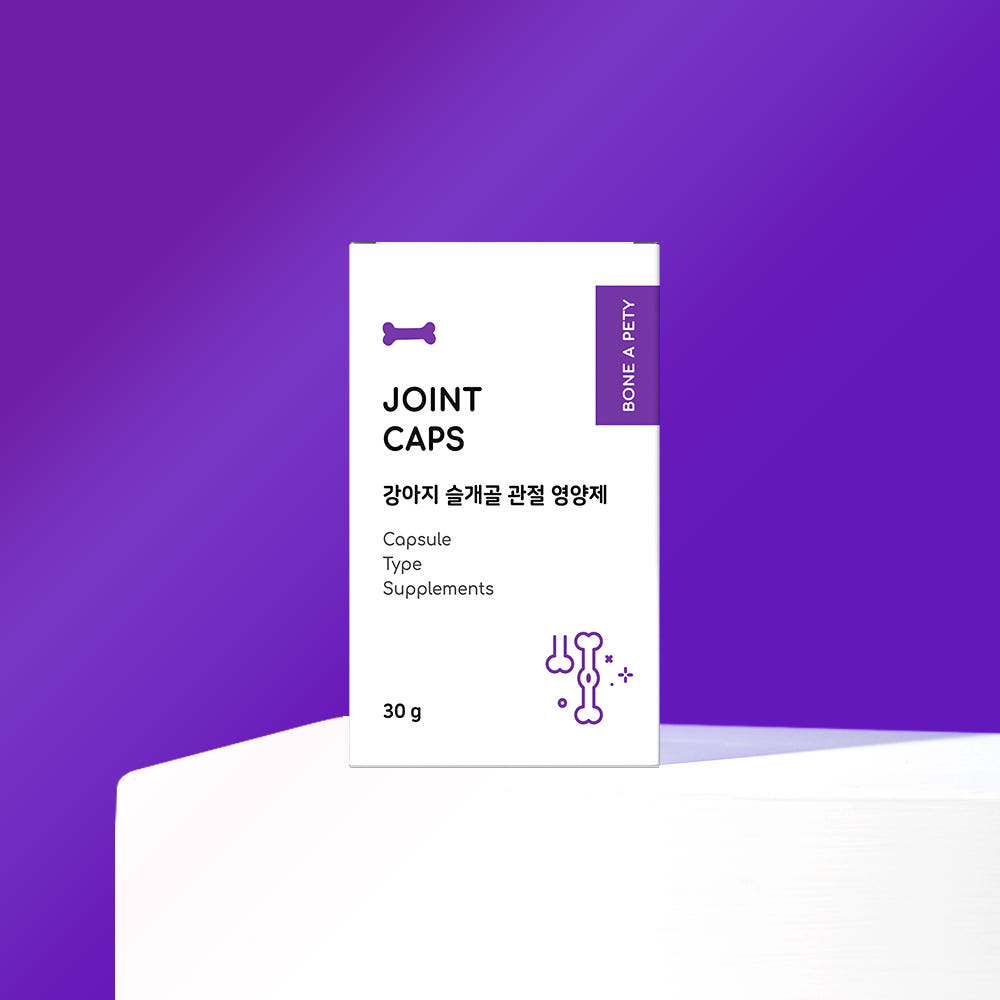 관절 건강 영양제