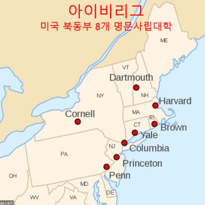 미국 캐나다 북미 원어민 전화영어 화상영어 어린이 초등 성인 파닉스 솔직 후기 | 실사용자 리뷰 분석 - 상품 이미지 3