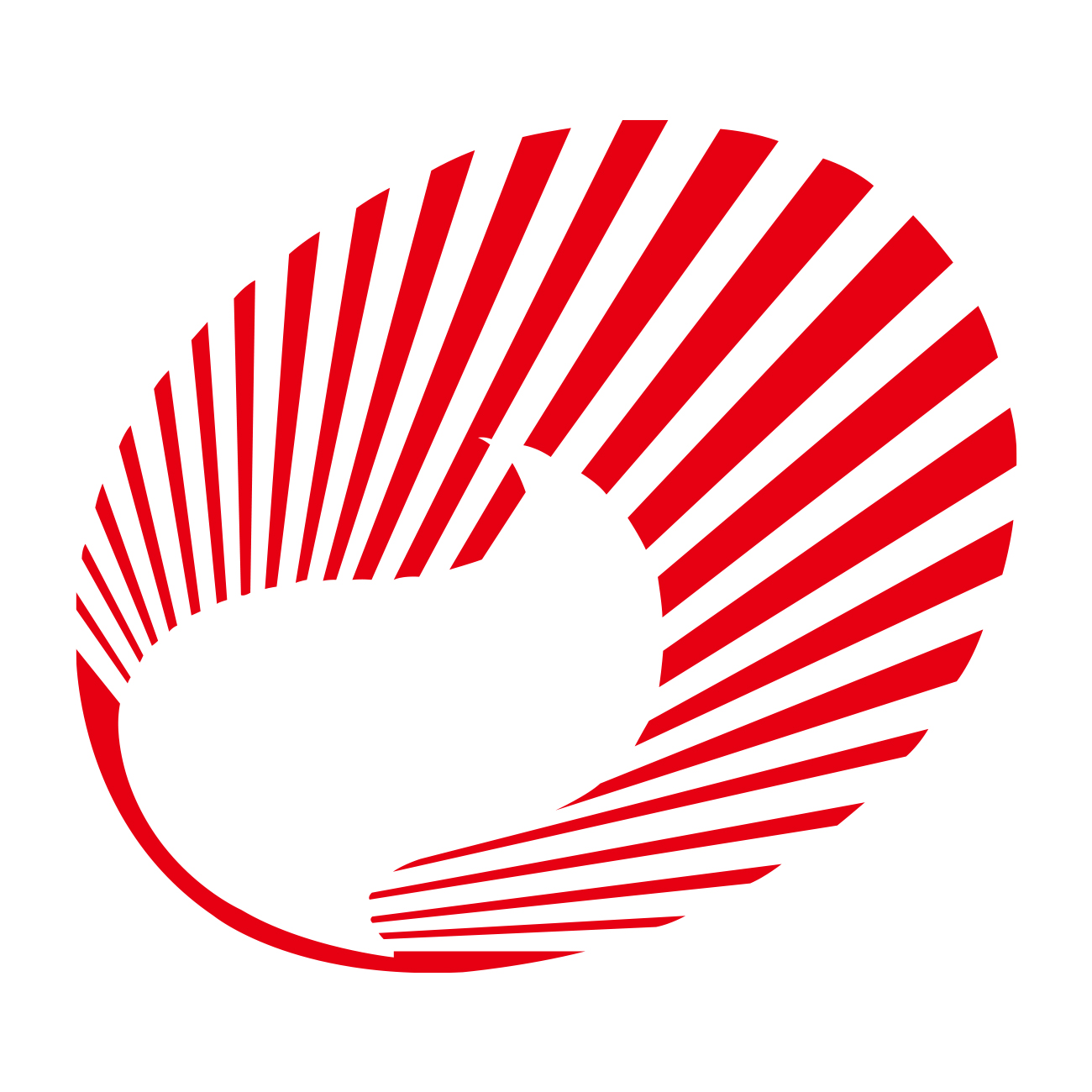 안국약품 스토어 로고