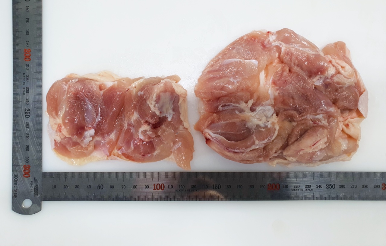 닭장사 국내산 냉장 냉동 닭다리살 정육 1kg 순살 통 사이 조각 상품 이미지