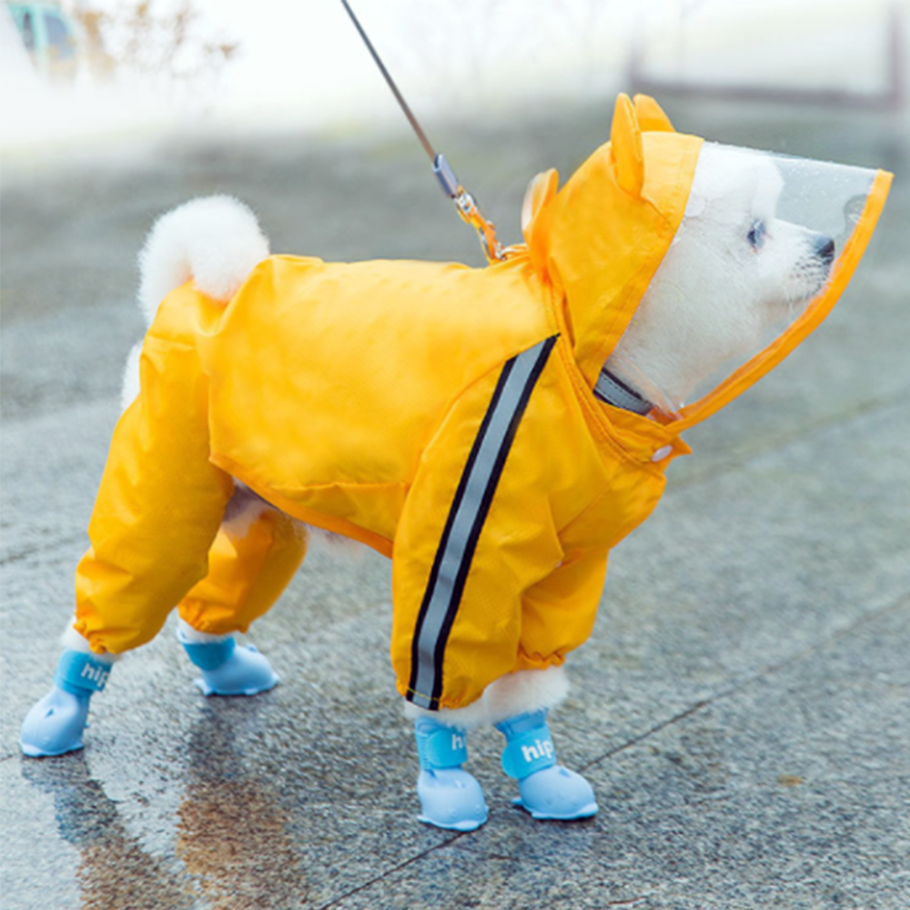 강아지 우비 M L XL 비옷 올인원 애견 개 레인코트 소형견 우의 반려견 방수옷 귀여운 - 상품 이미지