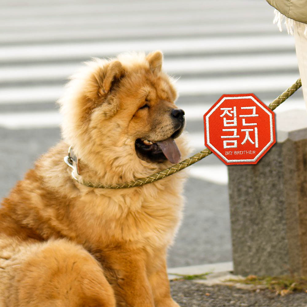강아지와펜 네임택 대형견 강아지 산책와펜 교육중 리드줄 펫티켓 - 상세 이미지 4