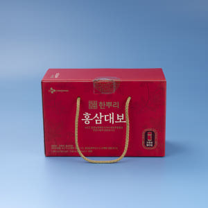 CJ한뿌리 홍삼대보 100mlx10병 맛있게 먹은 솔직 후기 - 상품 이미지 2