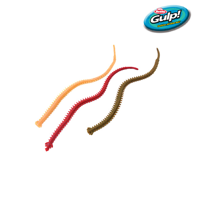 버클리 걸프 샌드웜 갯지렁이웜 풀치 갈치 볼락 전갱이 지렁이 웜 10cm CLC [중] - 상세 이미지 4