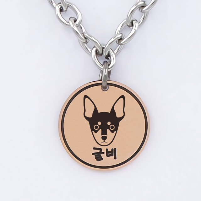 꼬리펫 강아지 목걸이 인식표 써지컬 이름표 디자인B - 상세 이미지 3