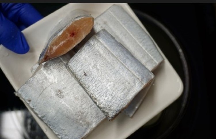 제주 동문시장 은갈치 왕 특대 갈치 선물세트 산지직송 - 상세 이미지 2