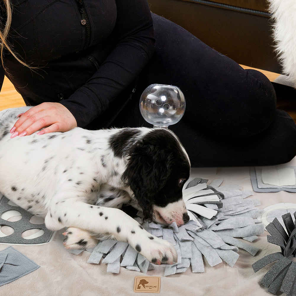 더플래 시크릿 강아지 노즈워크 분리불안 훈련 장난감