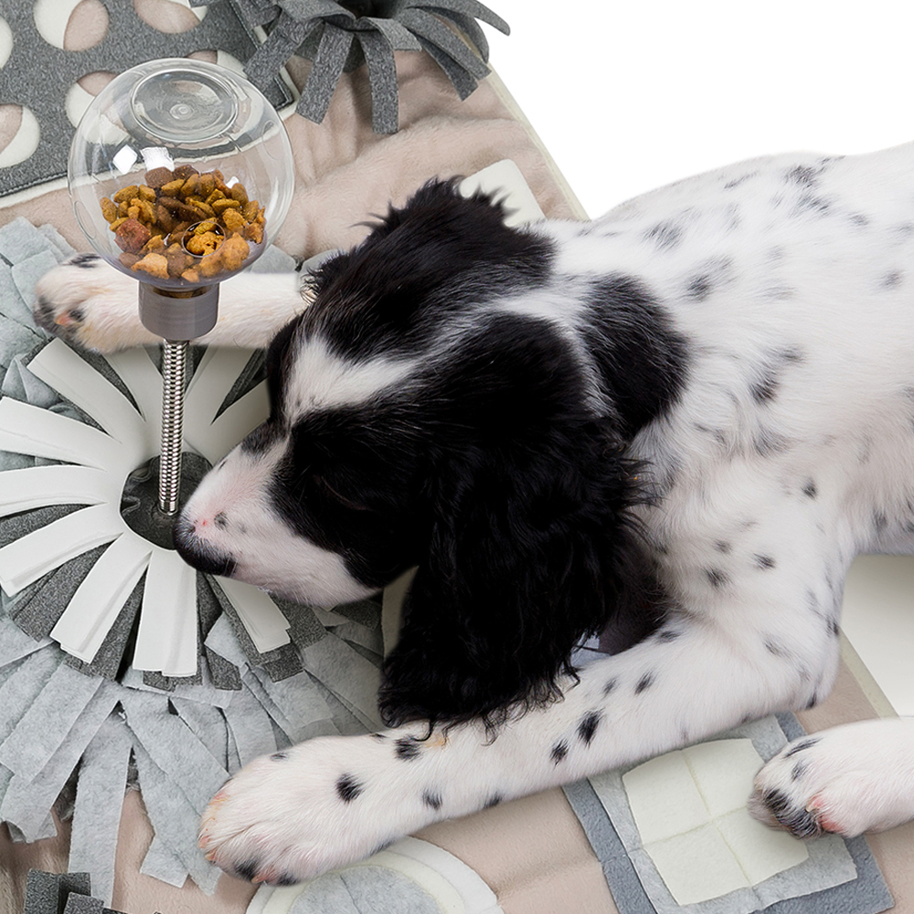 더플래 시크릿 강아지 노즈워크 분리불안 훈련 장난감