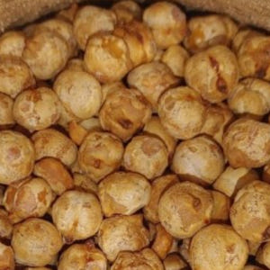 1+1 구운 볶은 병아리콩 이집트 콩 볶음 간식 콩간식 맛있게 먹은 솔직 후기 - 상품 이미지 1