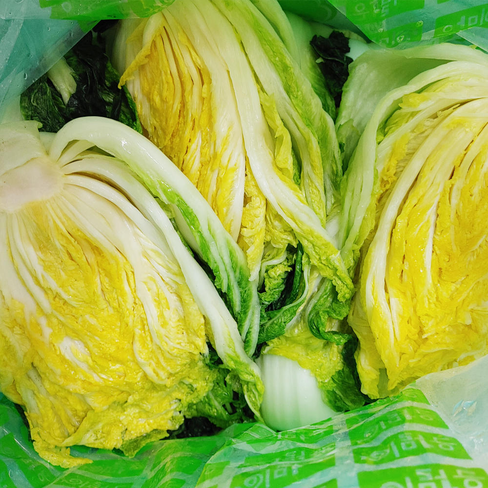 화원농협 HACCP 지정 미네랄 풍부한 전라도 해남 이맑은김치 절임배추10kg - 상세 이미지 5
