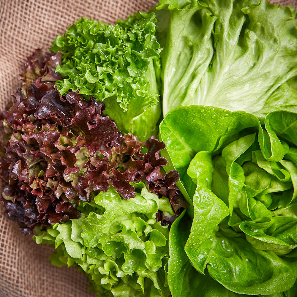 유럽 샐러드 채소 야채 1kg