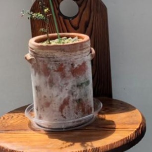 플라스틱 화분 받침대 투명 화분 받침 화분 물 빠짐 15cm - 상세 이미지 5
